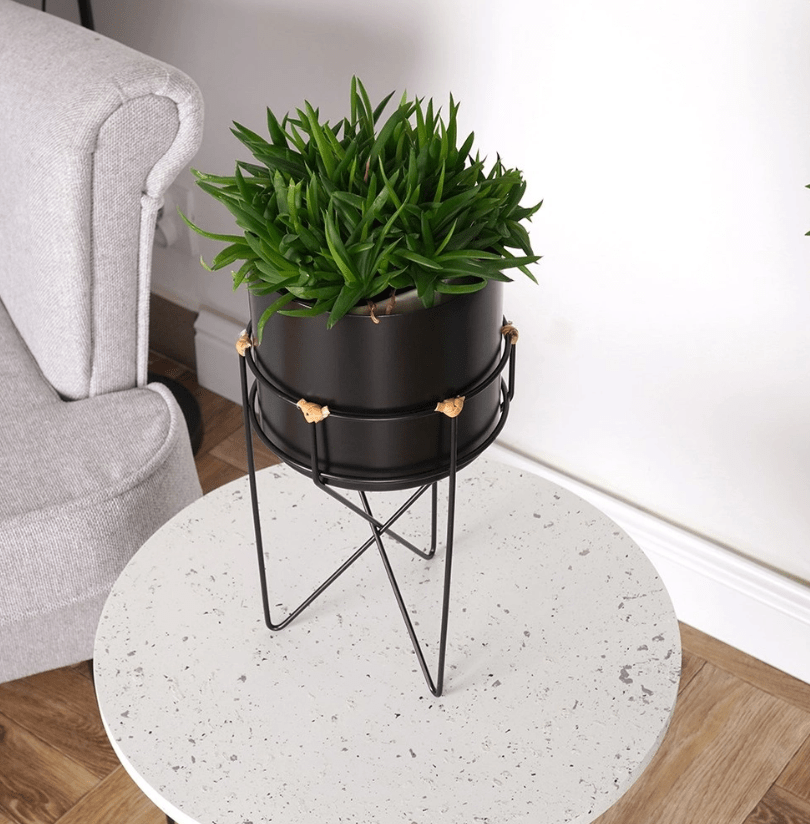 Matinės juodos spalvos vazonas iš Home Styling Collection, tinkantis 14,5 cm skersmens puodui