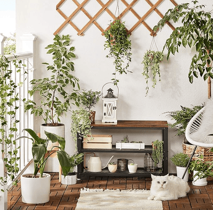 Dviejų lygių batų laikymo spintelė moderniam prieškambariui