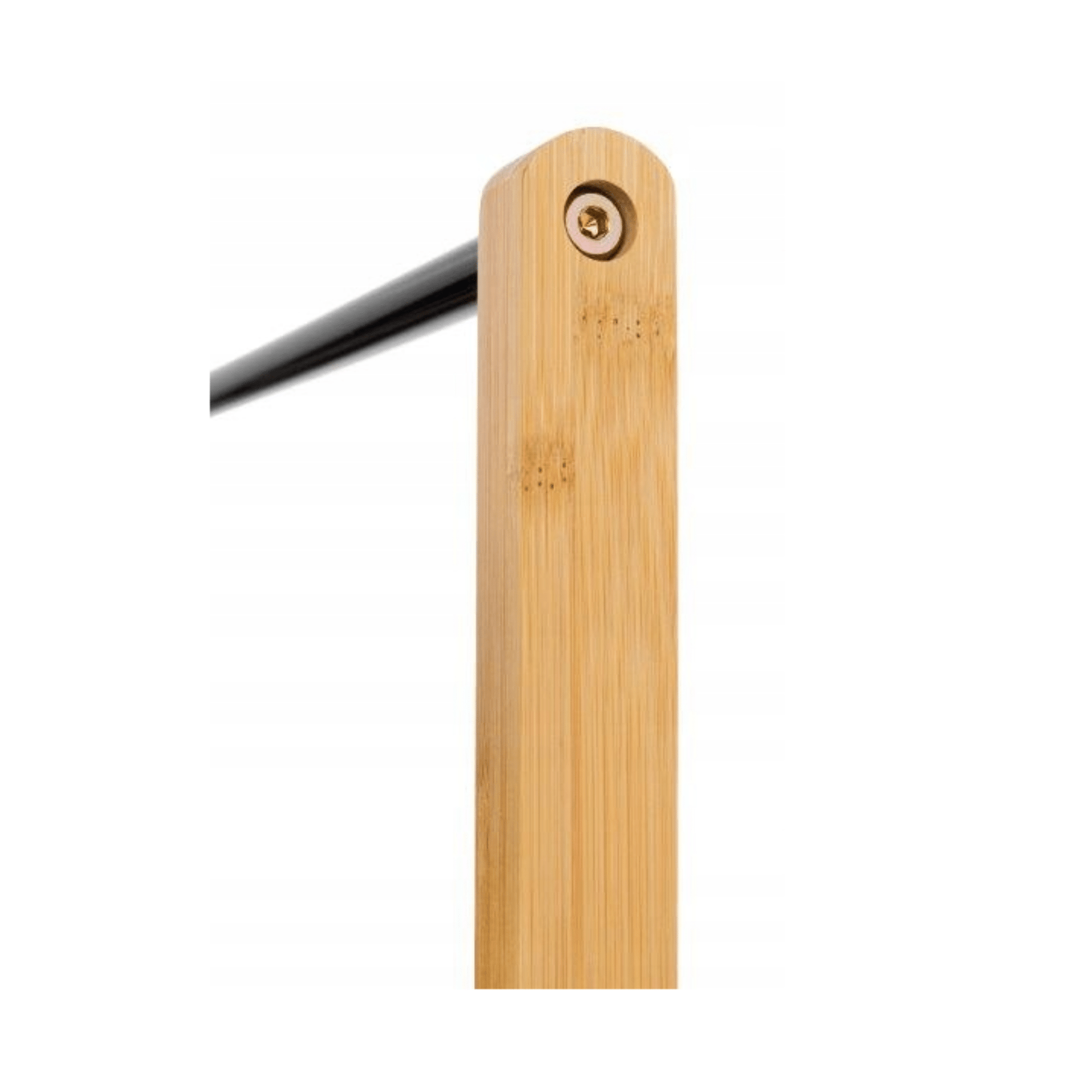 Modernus dizainas – bambukas ir juodas plienas interjere