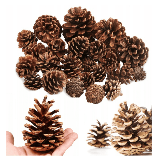 Natūralūs dekoratyviniai pušies kankorėžiai rankdarbiams ir dekoracijoms